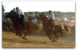 Images of the Ardia