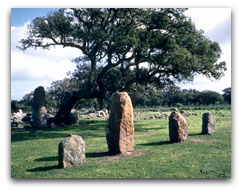 Pranu Mutteddu - Menhirs stones