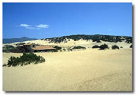 Piscinas - Le Dune Hotel