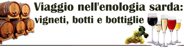 Viaggio nell'enologia sarda: vignetti, botti e bottiglie