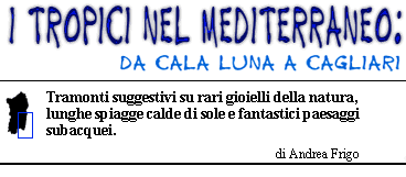 I tropici nel Mediterraneo: da Cala Luna a Cagliari